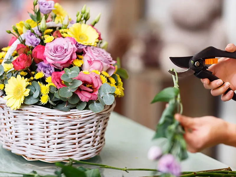 Cut Flower