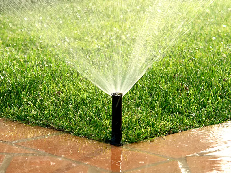 Irrigation System