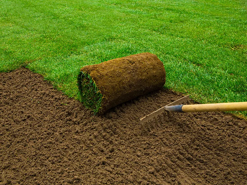 Landscape Maintenance