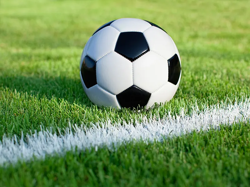 Sports Pitches